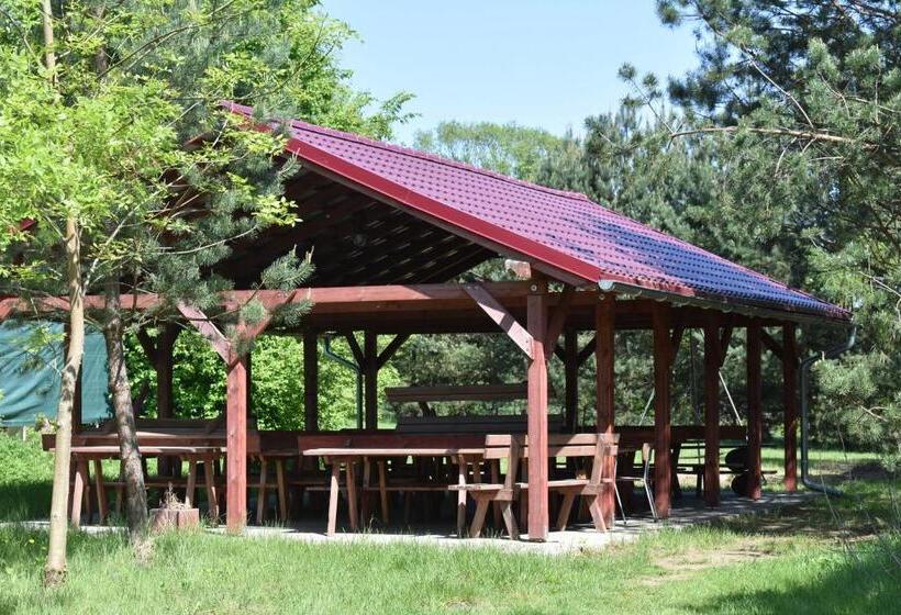 ホテル Newland Wójtowicz