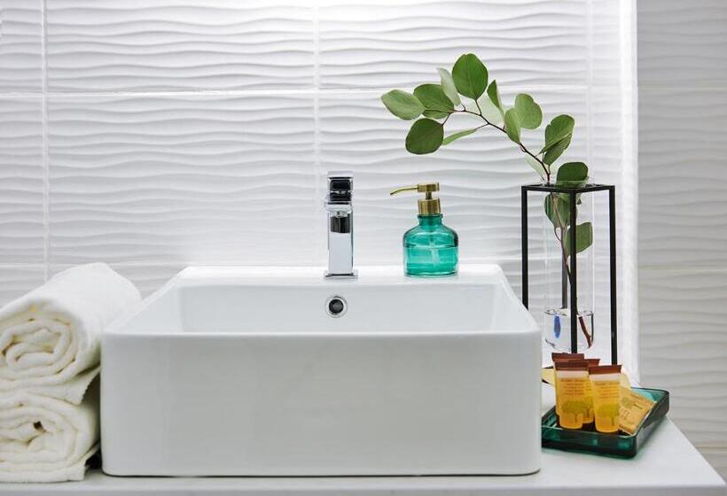 فندق Noclegi Pod Sokołem