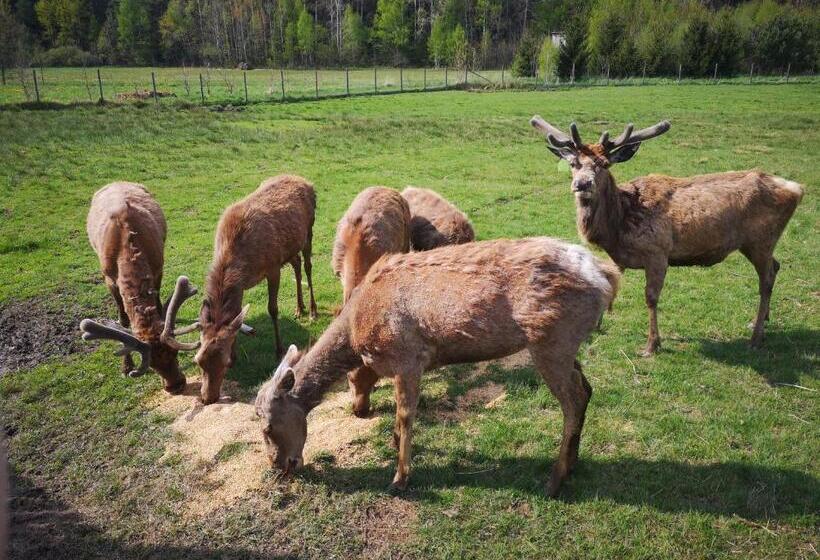 בית מלון כפרי Noclegi święta Katarzyna ,, Pod Jeleniami Prawdziwymi