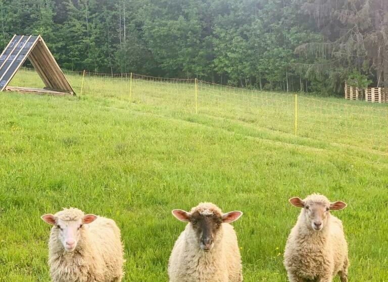 בית מלון כפרי Olza Karczma I Pokoje