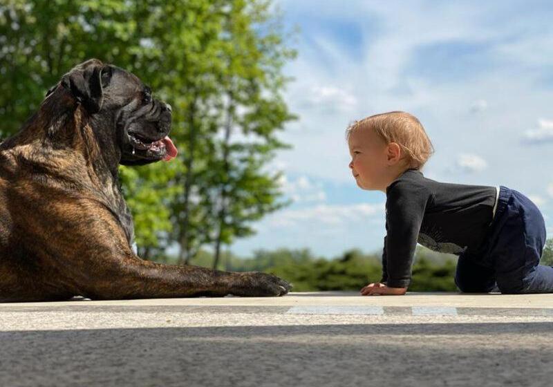 호텔 Pałac W Smoszewie