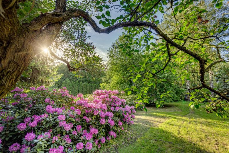 호텔 Pałac W Smoszewie