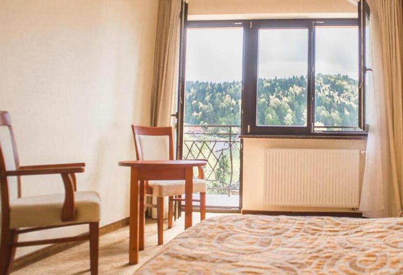 Отель Pensjonat Muszyna