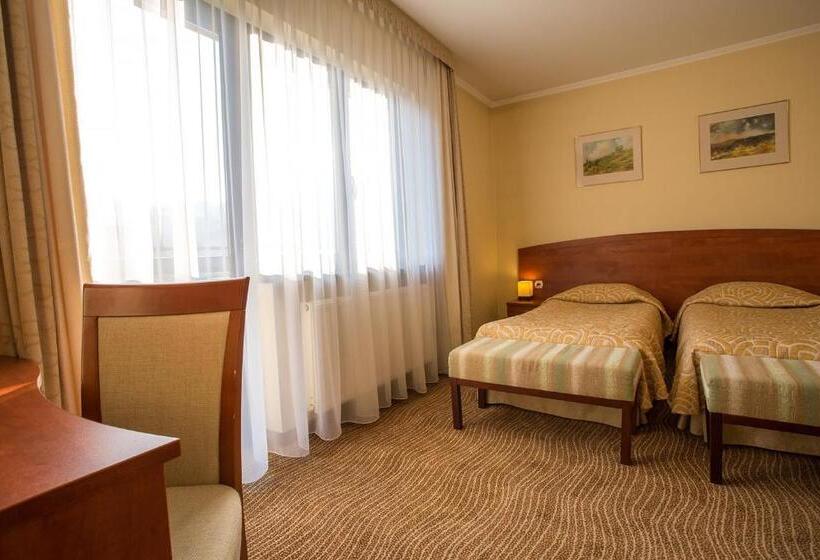 Отель Pensjonat Muszyna