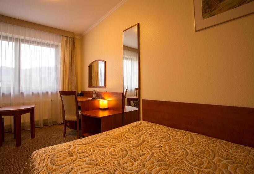 Отель Pensjonat Muszyna