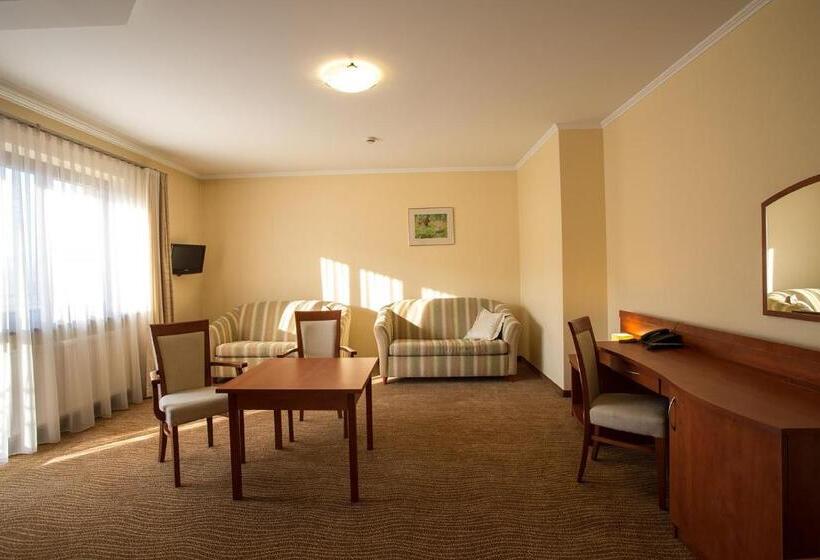 Отель Pensjonat Muszyna