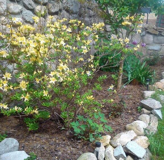 בית מלון כפרי Pensjonat Nostalgia