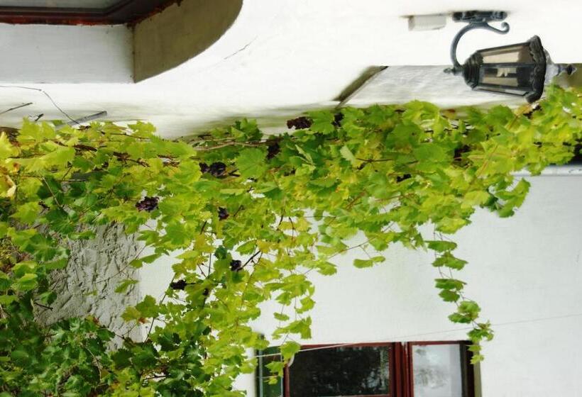 בית מלון כפרי Pensjonat Nostalgia