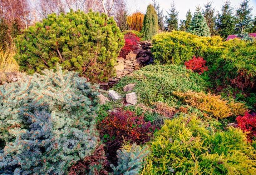 בית מלון כפרי Piast