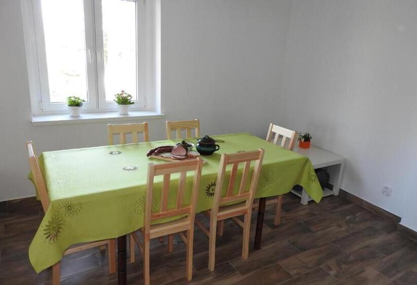 Отель Pokoje Gościnne Pod Brzózką