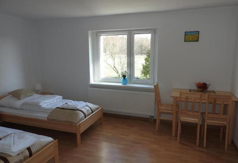 Отель Pokoje Gościnne Pod Brzózką