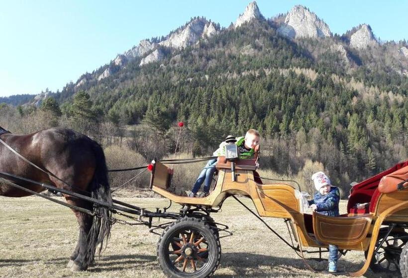 酒店 Pokoje U Pitera