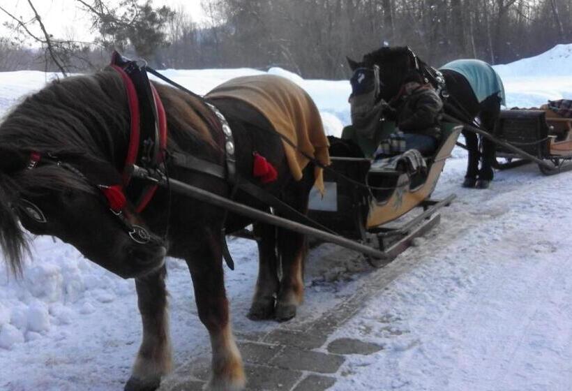 酒店 Pokoje U Pitera