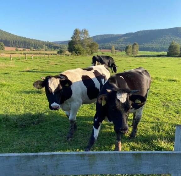 בית מלון כפרי Siedem łanów