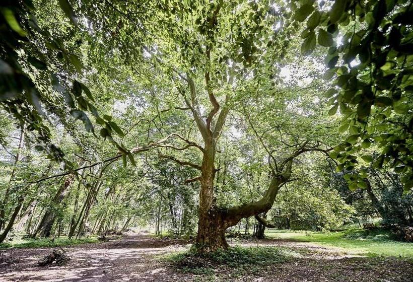 فندق & Spa Pałac Mała Wieś