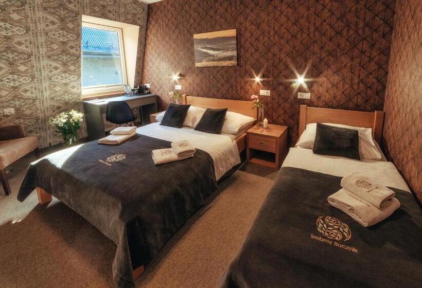 酒店 Srebrny Bucznik Wellness & Restaurant