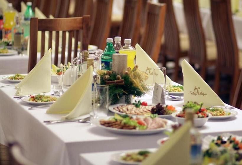 فندق Stary Młyn