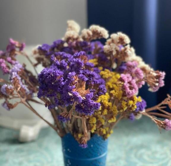 בית מלון כפרי Tleniowo