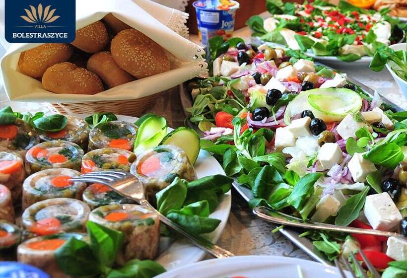 酒店 Villa Bolestraszyce