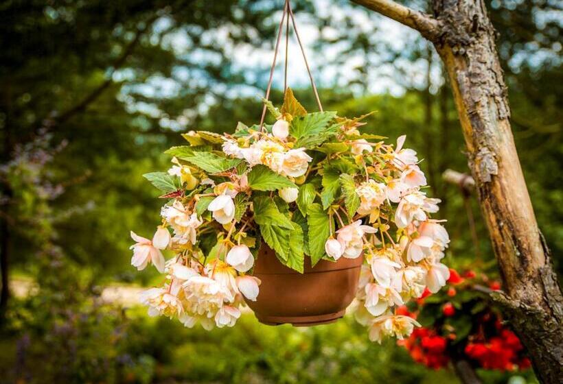 בית מלון כפרי Willa Tużur