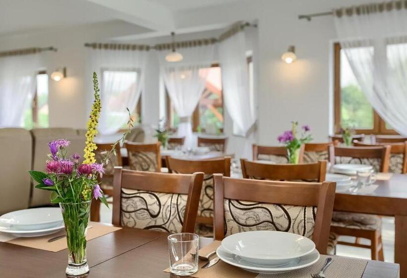 ホテル Willa U Alicji I Jana