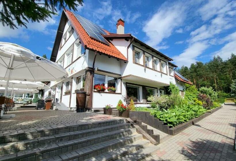 فندق Zajazd Gniewko