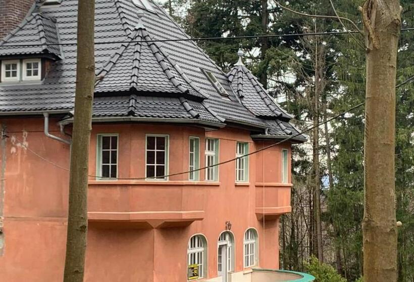 بنسيون Baltic Home