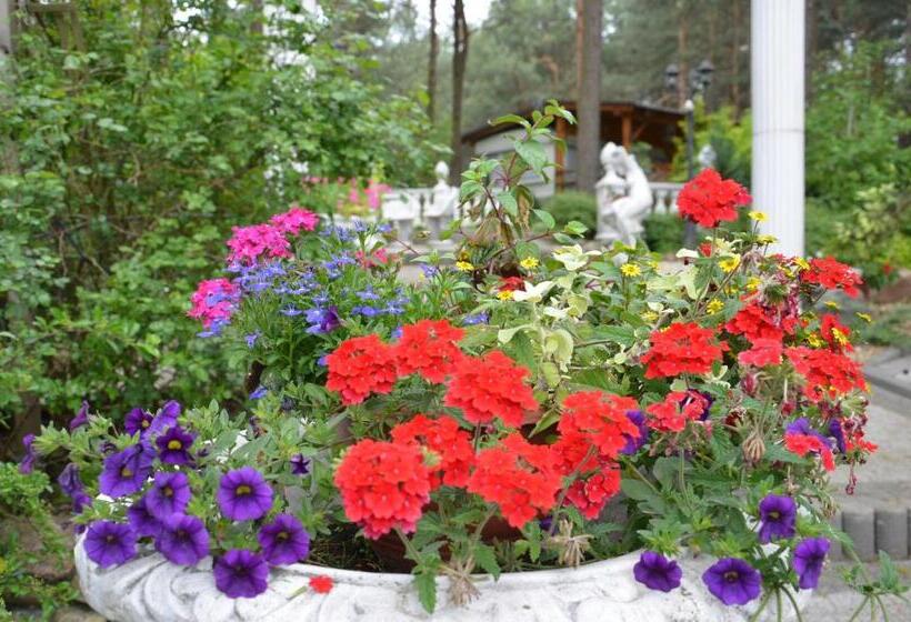 펜션 Bed&breakfast Maciejanka