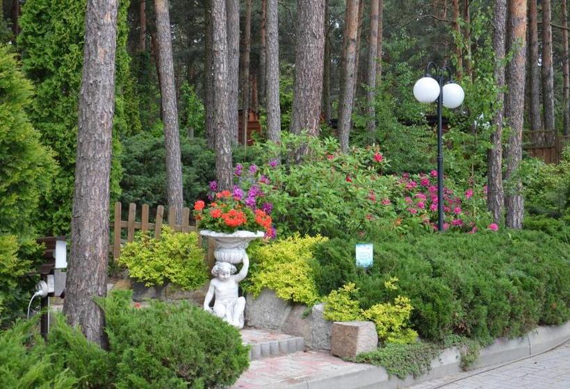 펜션 Bed&breakfast Maciejanka