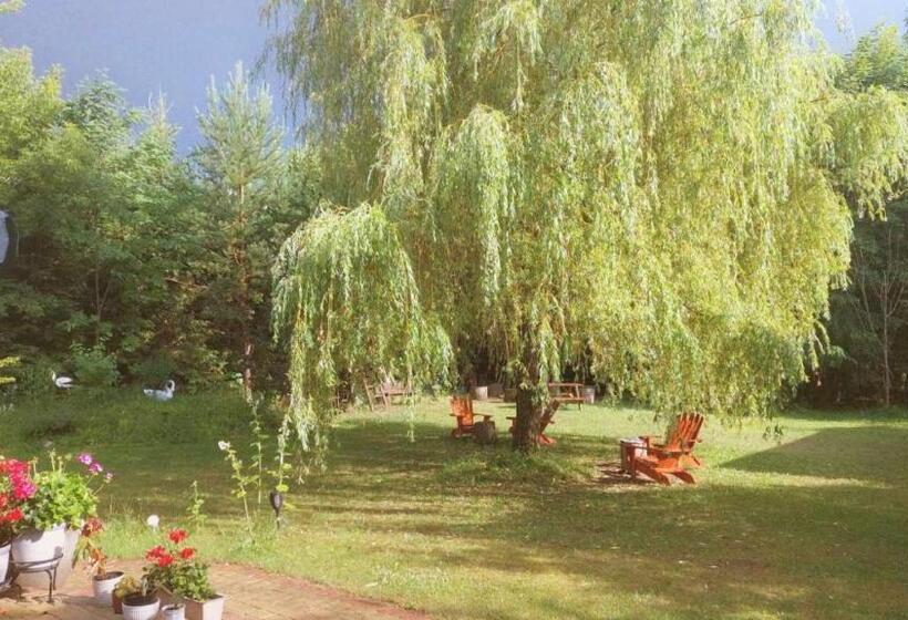 بنسيون Dębowa Dziupla