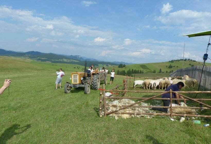 Пансион Dom Wypoczynkowy Marta