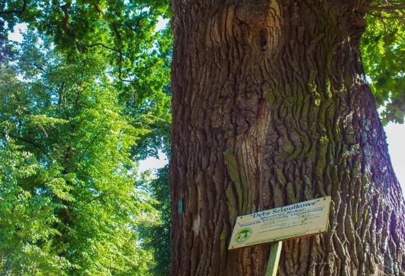 ペンション Gniazdo W Parku