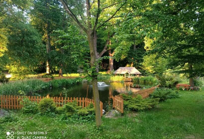 ペンション Gniazdo W Parku