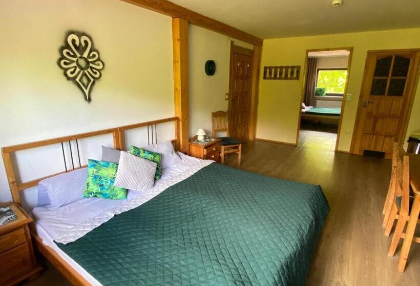 پانسیون Gościniec Salmopolski