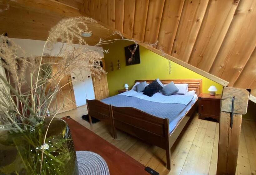 پانسیون Gościniec Salmopolski