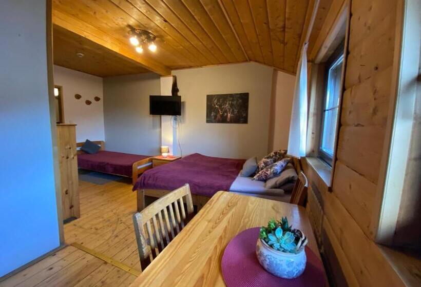 پانسیون Gościniec Salmopolski