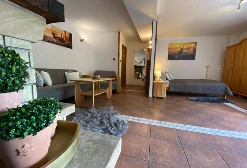 پانسیون Gościniec Salmopolski