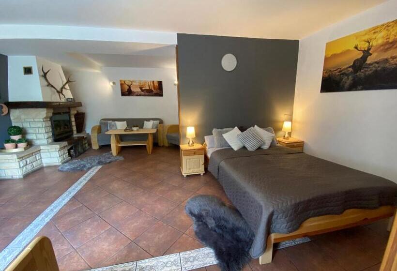 پانسیون Gościniec Salmopolski