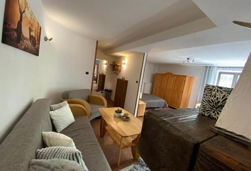 پانسیون Gościniec Salmopolski