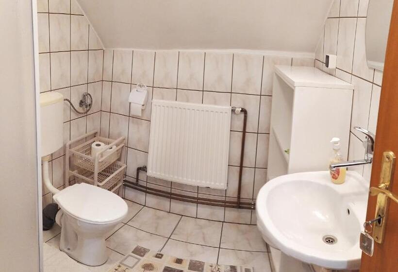 ペンション Noclegi Arenda