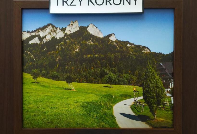 ペンション Noclegi Arenda