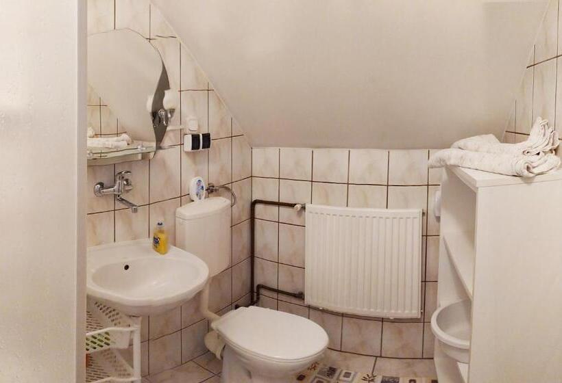 ペンション Noclegi Arenda