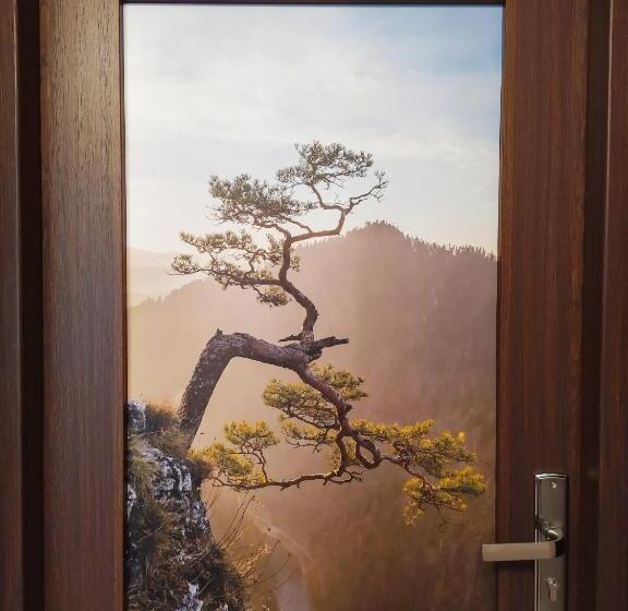 ペンション Noclegi Arenda