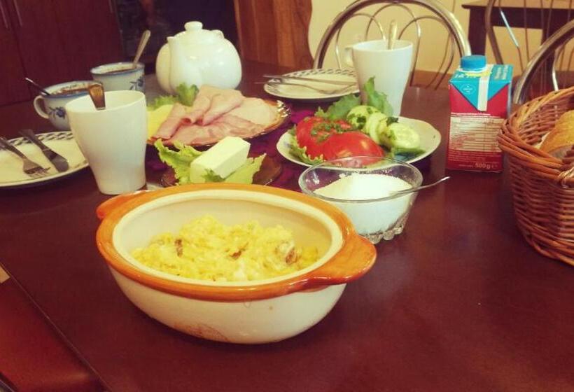 膳宿费 Noclegi U Dyncyka