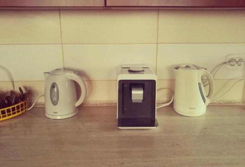 膳宿费 Noclegi U Dyncyka