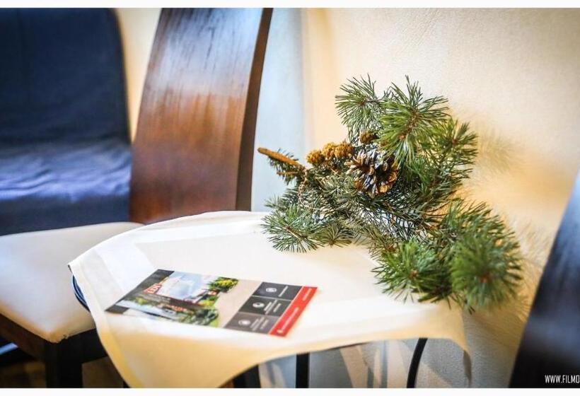 펜션 Pokoje Baldi Benelux