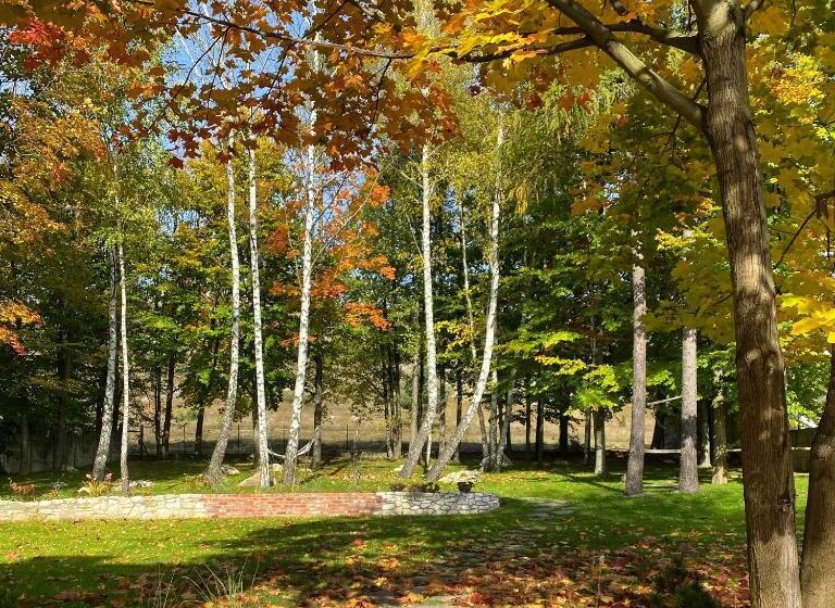 פנסיון Przytulia