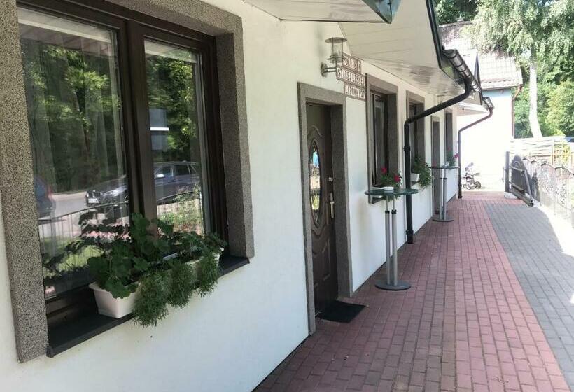 Пансион W Starej Leśnej