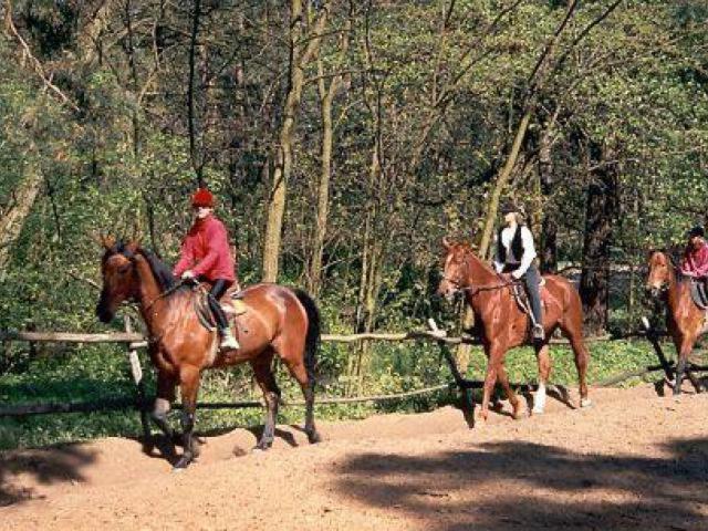 ペンション Willa Baltazar