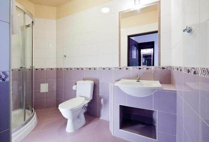 بنسيون Willa Czarownica